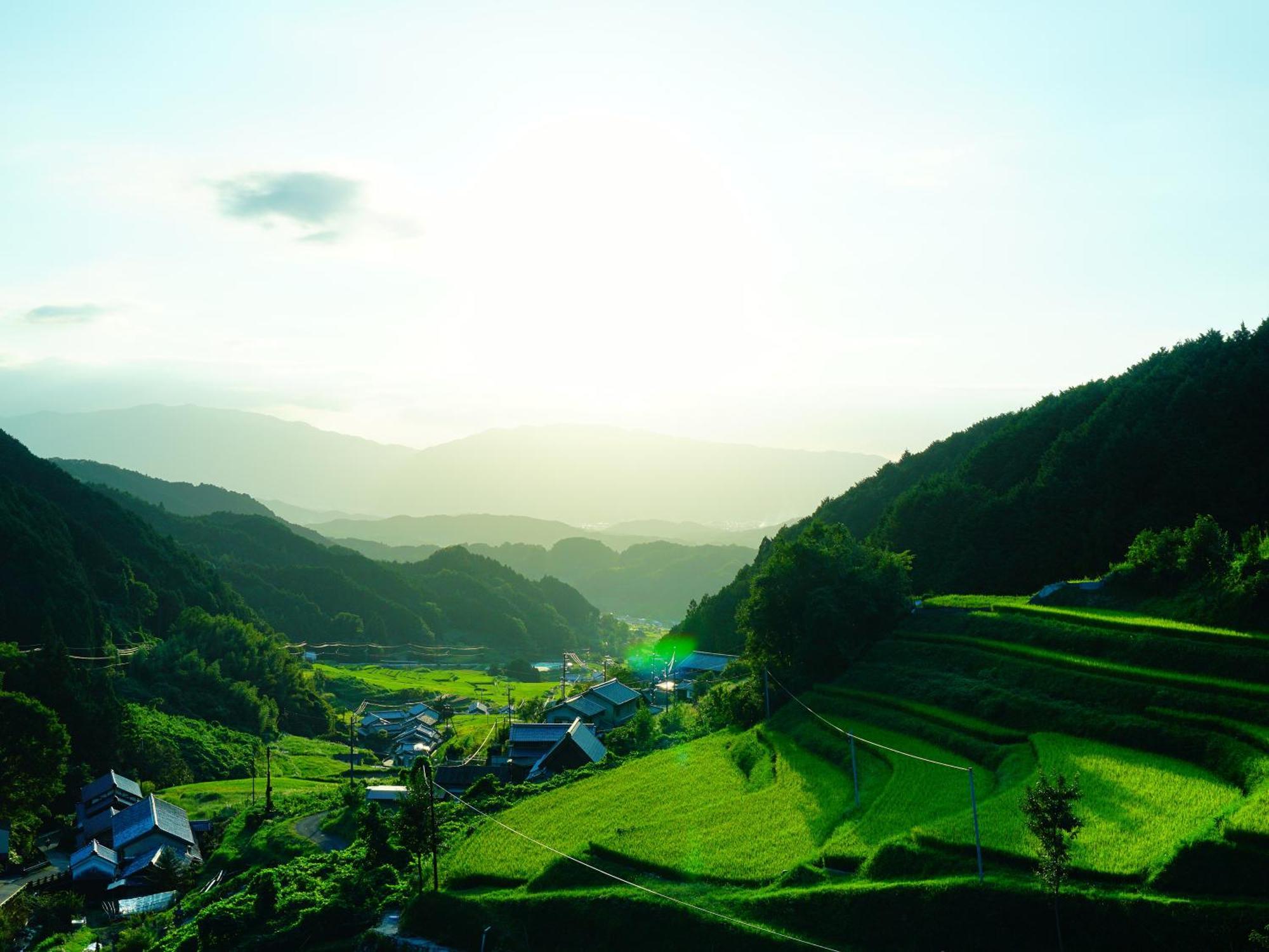 Grand Mercure Nara Kashihara Kashihara  Eksteriør bilde