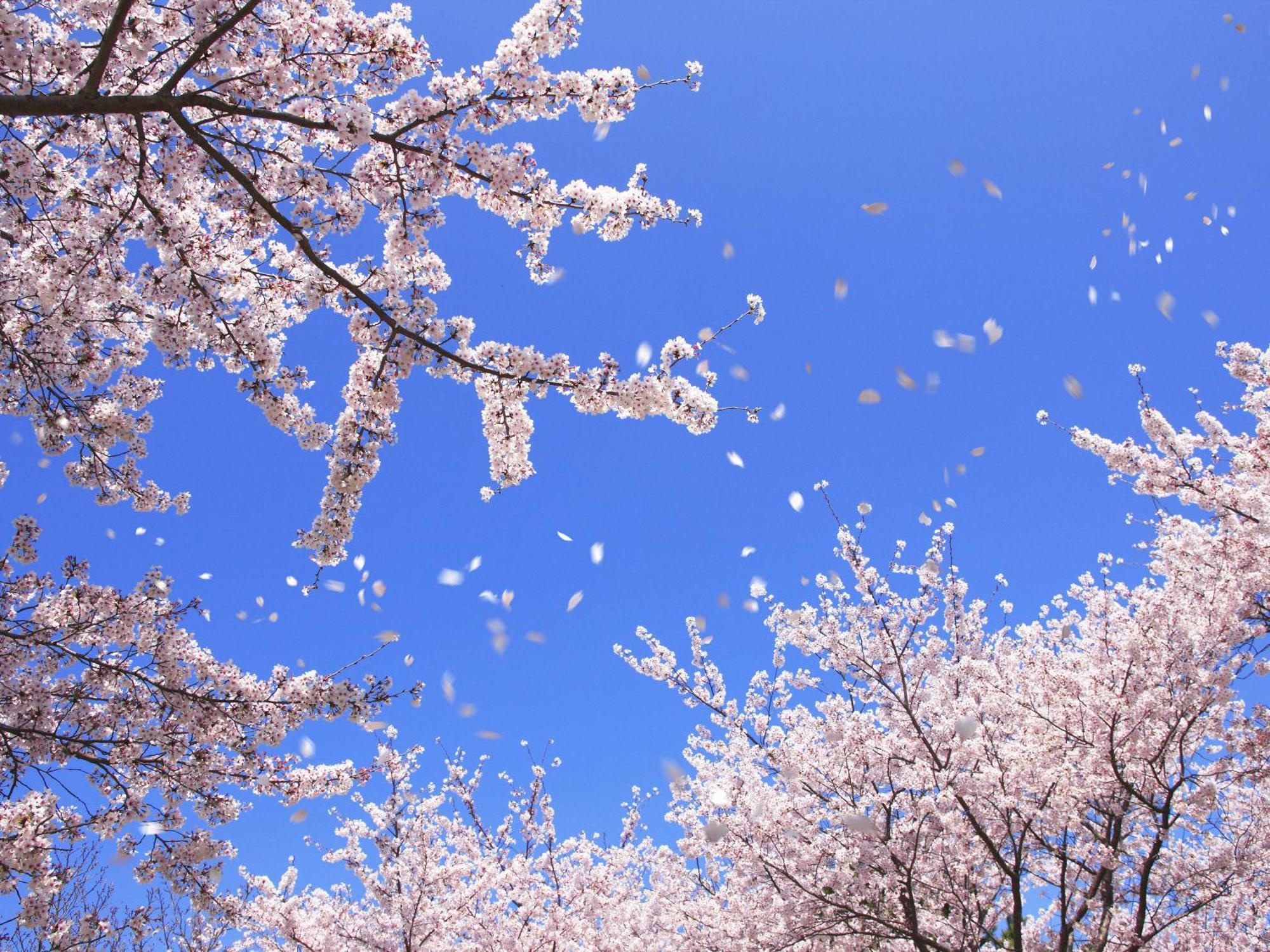 Grand Mercure Nara Kashihara Kashihara  Eksteriør bilde