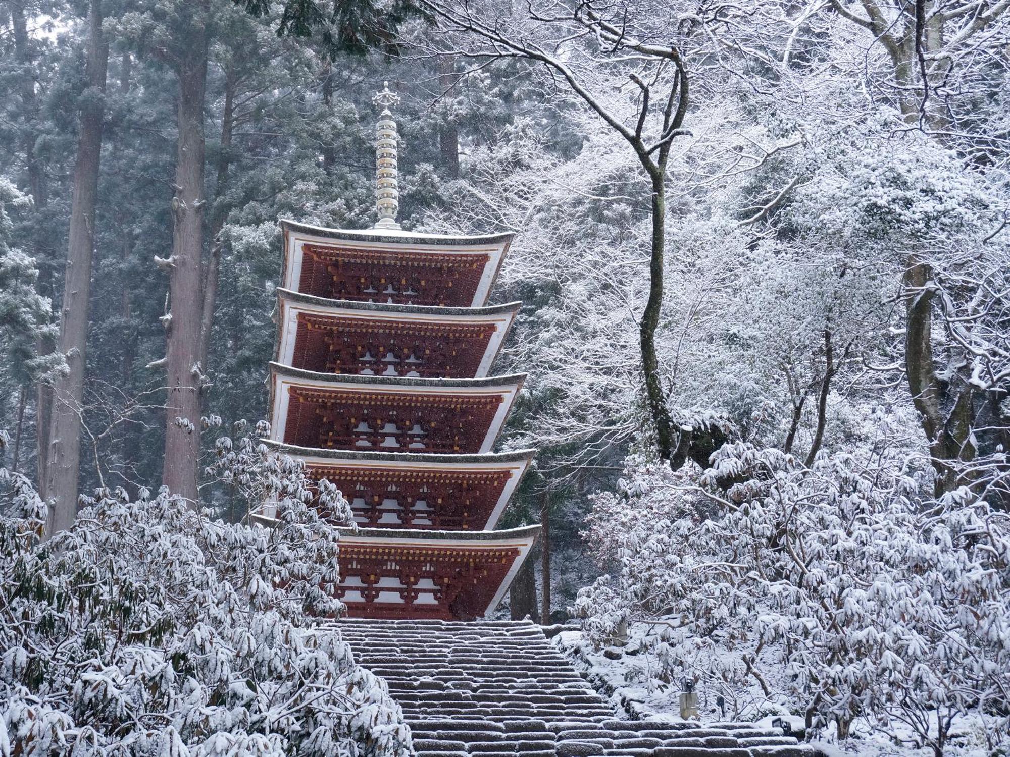 Grand Mercure Nara Kashihara Kashihara  Eksteriør bilde